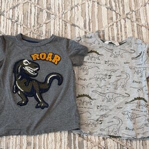 Gray Dinosaur T-Shirts